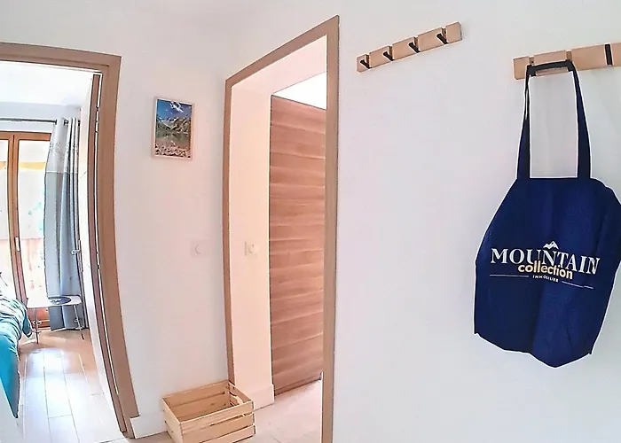 Lägenhet Cosy Et Lumineux Avec Parking Aux Deux Alpes - Fr-1-811-45